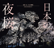 日本の夜桜
