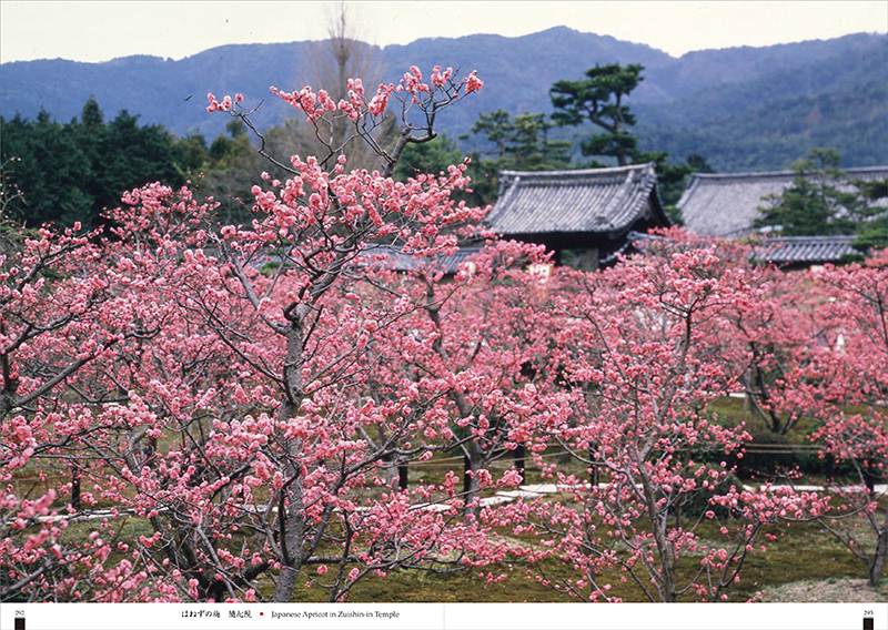京　古都の情景